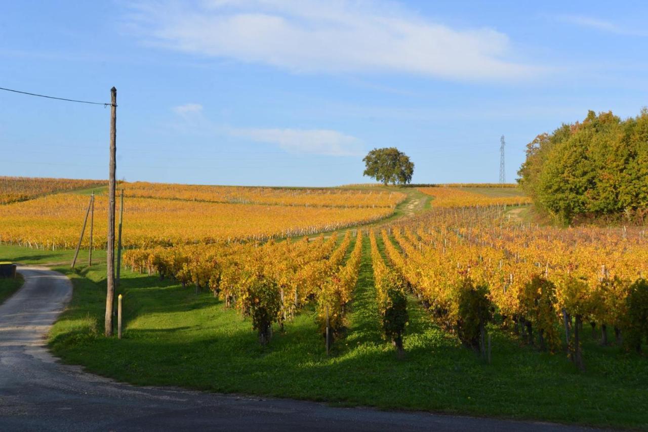 La Closerie De Fronsac Saint-Michel-de-Fronsac Eksteriør bilde